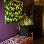 Higos Chumbos, Compartido בית הארחה צ'יקלנה דה לה פרונטרה