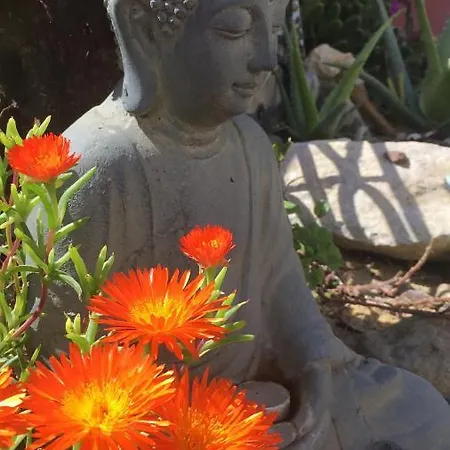 Affittacamere Higos Chumbos, Compartido