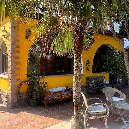 Higos Chumbos, Compartido *