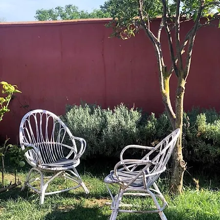 Higos Chumbos, Compartido Guest house Chiclana de la Frontera