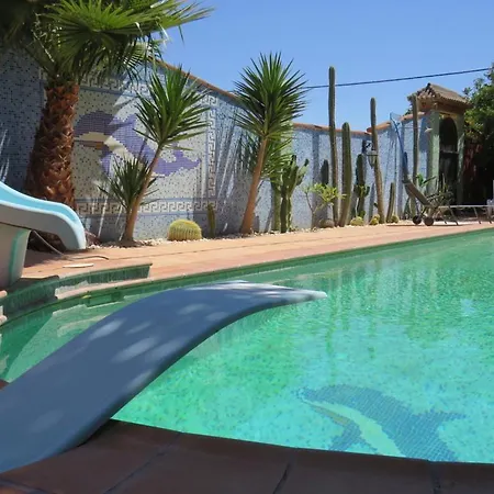 Higos Chumbos, Compartido Guest house