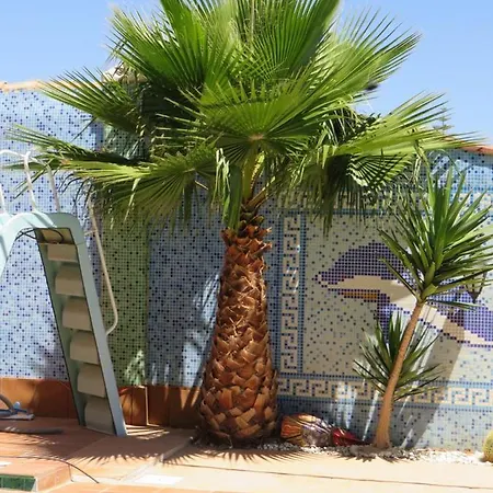 Guest house Higos Chumbos, Compartido Chiclana de la Frontera