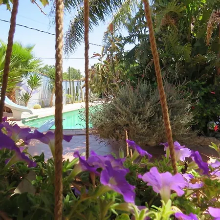Guest house Higos Chumbos, Compartido