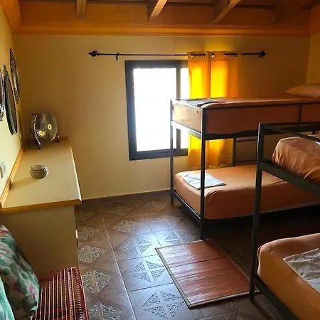 Higos Chumbos, Compartido *